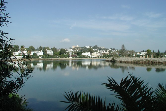 1/2 day carthage & sidi bou said - Amphitheater and theater: two different kinds of Roman space