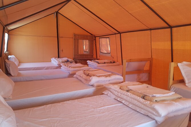 2-Day Tunisia Sahara Desert Camel Trek from Douz - The sunset ride is the day’s best stretch