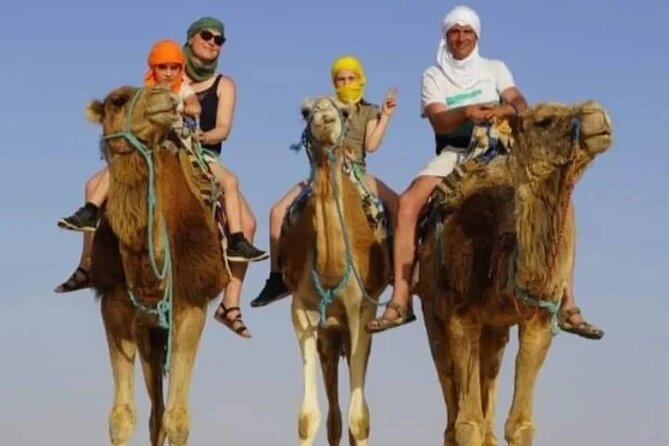 2 Days Tour of the Sahara from Hammamet - What this two-day Sahara trip really covers