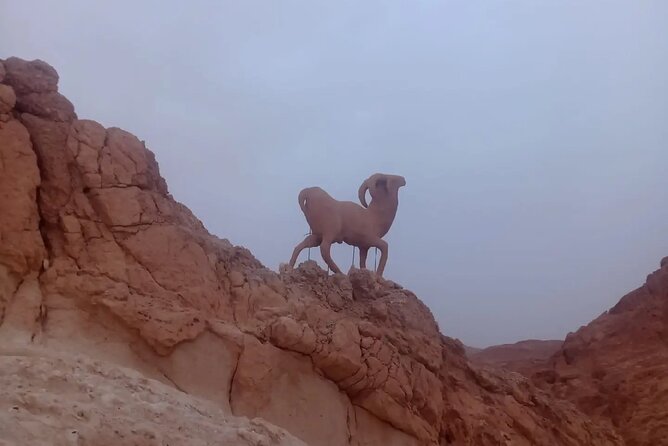 2 Days Tour of the Sahara from Hammamet - Matmata brings you underground