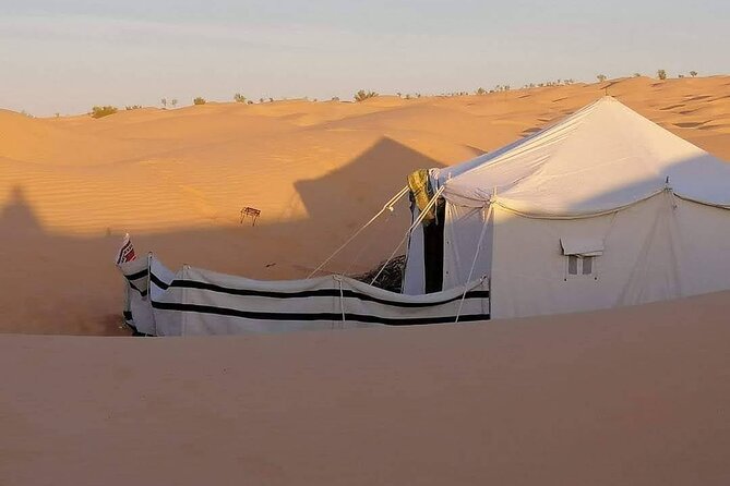 2 days tour to Douz & Ksar Ghilan oasis. and an overnight in the sahara under bedouin tent .. Dinner in the camp, Private Jeep - with english speaking guide. - Ksar Ghilane brings water to the Sahara