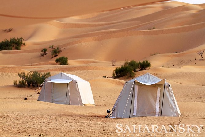 2 Days Tunisia Sahara Desert Buggy Safari Adventure - Key points before you book