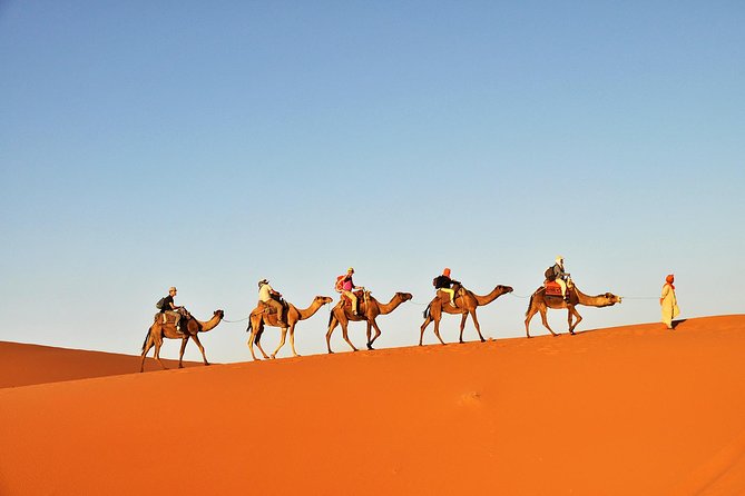 3-Day Tunisia Sahara Desert Camel Trek from Douz - Day one: leaving Douz for the golden dunes