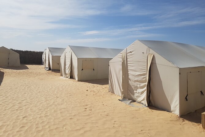 3-Day Tunisia Sahara Desert Camel Trek from Douz - Day three: a final morning ride back to Douz