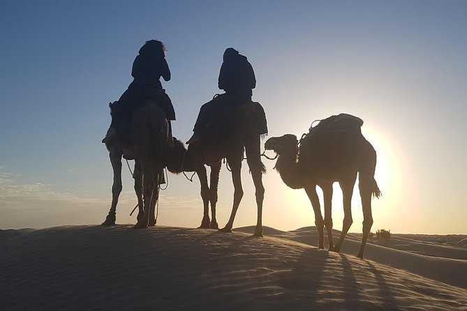 3-Day Tunisia Sahara Desert Camel Trek from Douz - Who will enjoy this camel trek most?