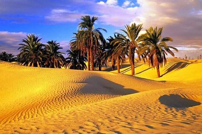 4-Day Private Tour: Sahara and Djerba Island from Tunis and Hammamet - The guide and driver can shape the whole trip