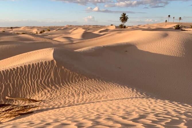 7 Day Guided Tunisia Tour Including Pickup - Five things to know before booking