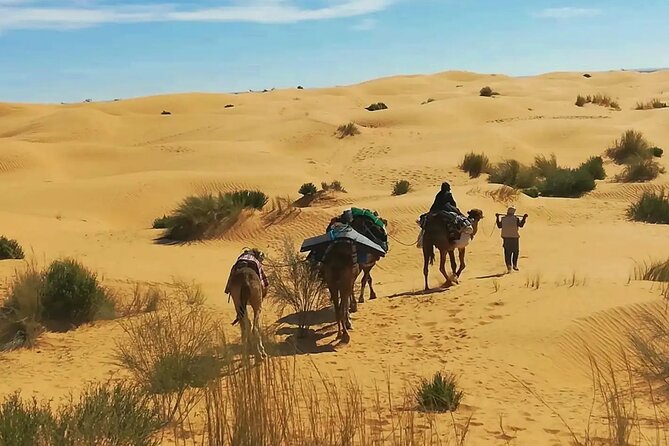 7-Day Northern South Tour from Tunis - Key points to know before booking