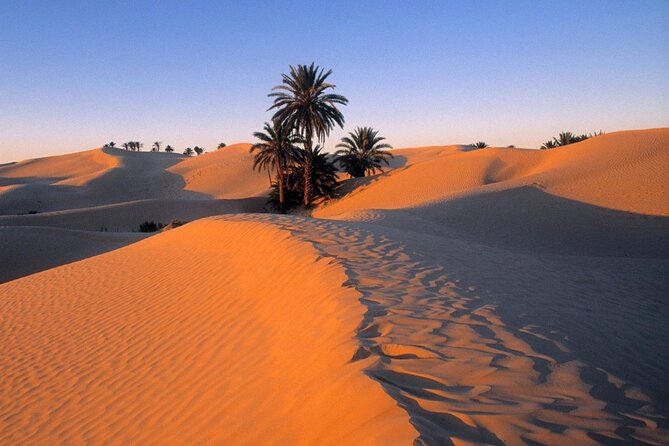 7-Day Northern South Tour from Tunis - Day 4: Tamerza, Chebika, Chott el Jerid, and Douz