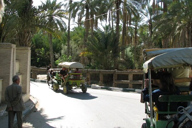 7-Day Northern South Tour from Tunis - Day 7: Matmata, El Jem, and the return to Tunis