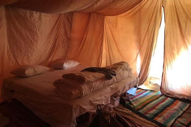 A Luxury Overnight Sahara Desert From Tozeur - Returning to Tozeur Market and the medina