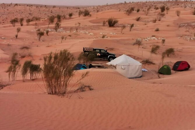 A Private Night at Desert Douz Tozeur - Why the desert camp matters