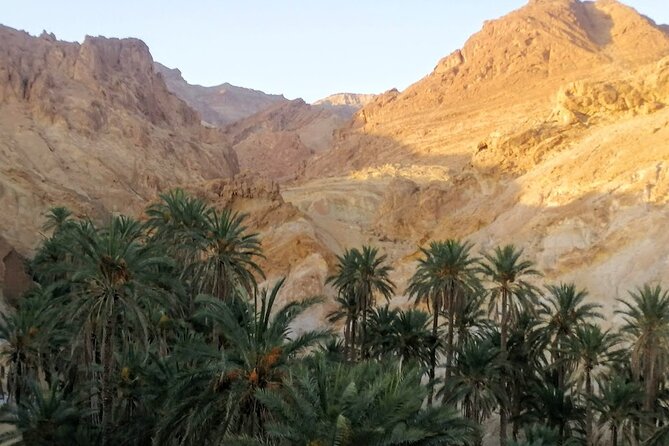 A Private Night at Desert Douz Tozeur - How much value do you get for $284.56?
