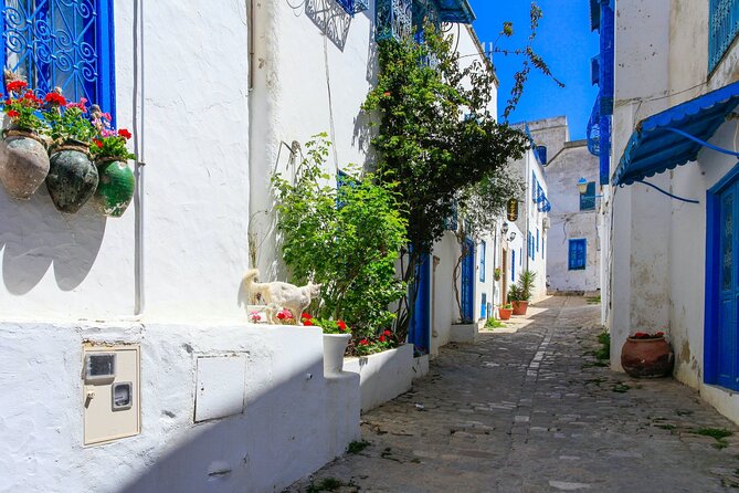 Ancient Carthage and Sidi Bou Said Half Day Tour with Lunch - The unexpected Bardo Museum question