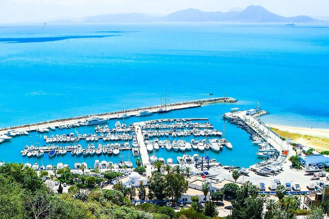 Ancient Carthage and Sidi Bou Said Half Day Tour with Lunch - Starting with Carthage’s Roman ruins