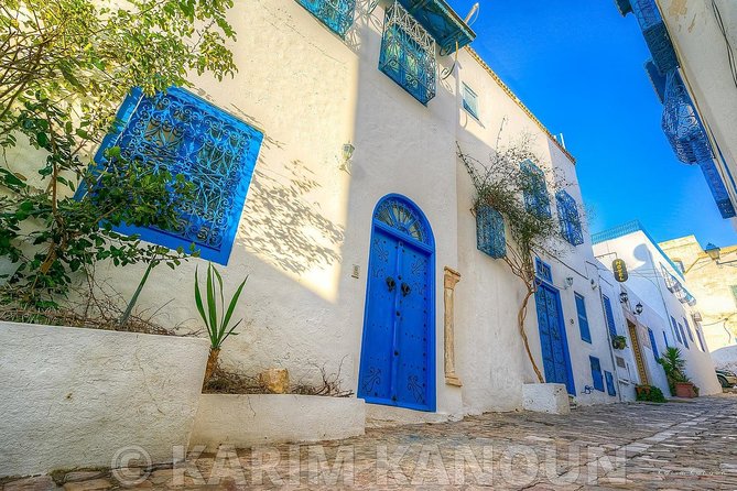 Bardo Museum- The ruins of Carthage- Village of Sidi Bou Said - The Bardo Museum, two hours among Tunisian treasures