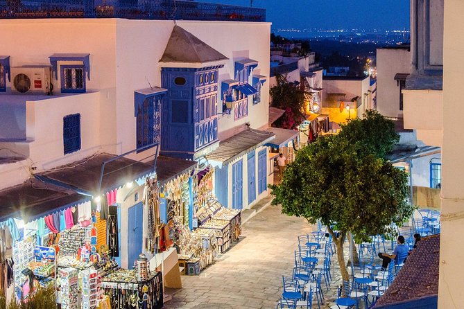 Bardo Museum- The ruins of Carthage- Village of Sidi Bou Said - The guide is central to the experience
