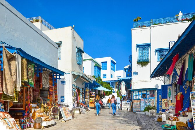 Bardo Museum with Medina, Carthage and Sidi Bou Private Tour - Starting at 9 a.m. with a private vehicle