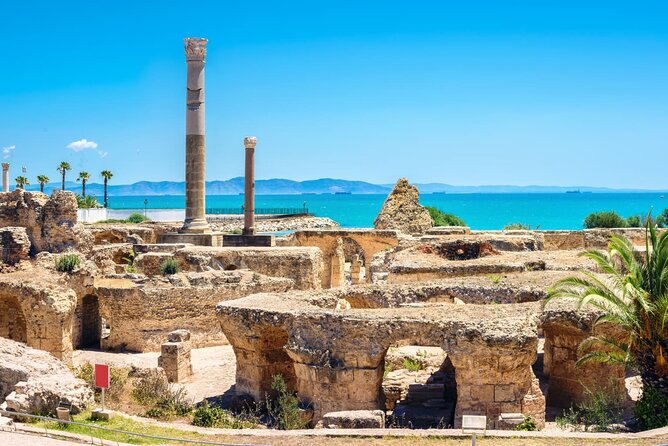 Bardo Museum with Medina, Carthage and Sidi Bou Private Tour - The Medina of Tunis: narrow lanes and local character
