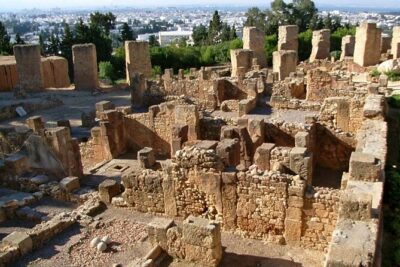 Bardo Museum with Medina, Carthage and Sidi Bou Private Tour