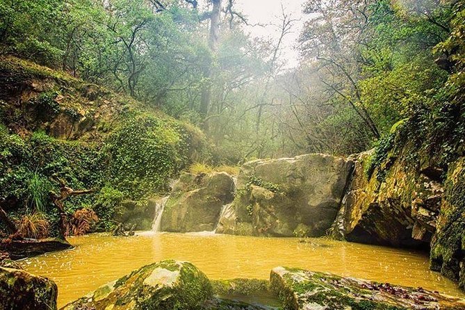 Bulla Regia and Beni Mtir Cascade Daytrip from Tunis - From Tunis to the Medjerda Valley