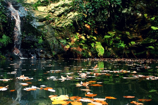 Bulla Regia and Beni Mtir Cascade Daytrip from Tunis - Weather, cancellation, and planning advice