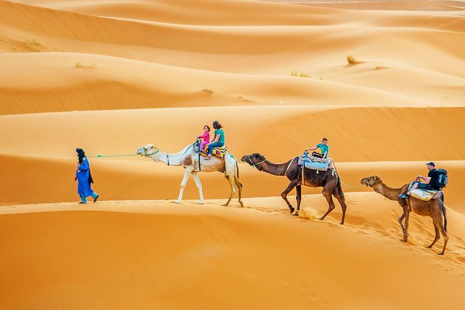 Camel & Quad Combo In Douz Sahara Desert - Riding a camel toward a desert village