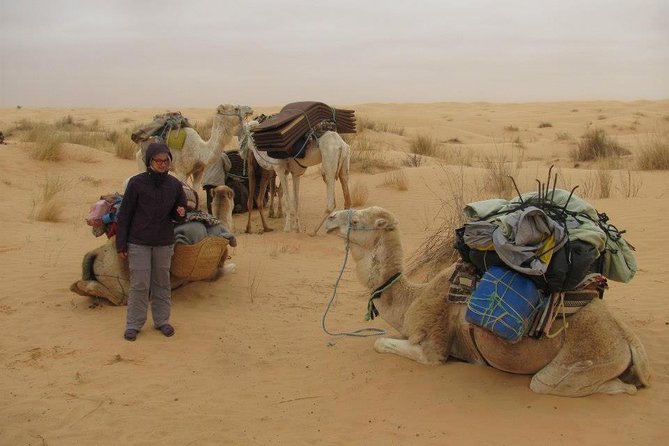 Camel ride and 1 night in the desert - Key points before you book