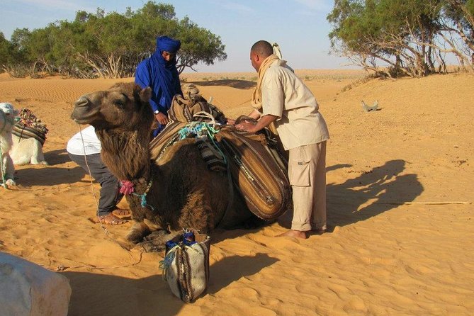 Camel ride and 1 night in the desert - From Tozeur to the white salt flats of Chott Djerid