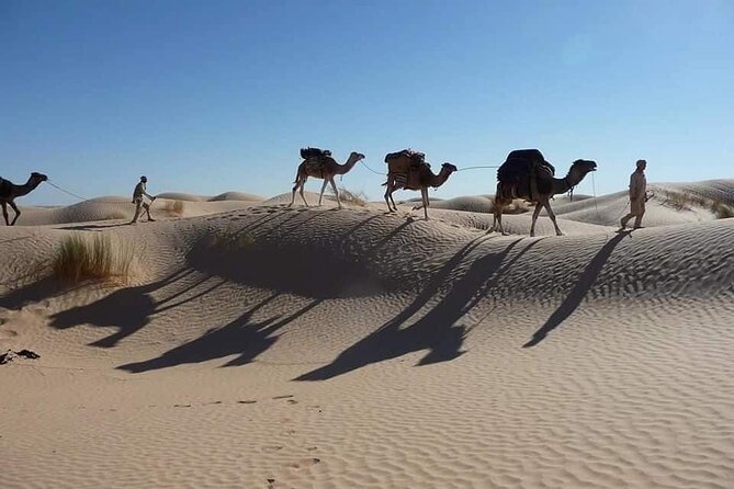 Camel ride and 1 night in the desert - A desert camp instead of a quick sunset stop