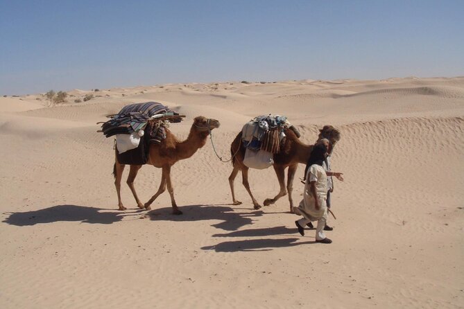 Camel ride and 1 night in the desert - Night skies, cooking, and the human side of the trip