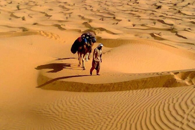 Camel ride and 1 night in the desert - Breakfast, the return trip, and what remains unclear