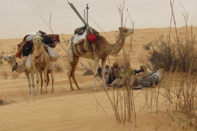Camel ride and 1 night in the desert - Meeting your cameleer and mounting the camel