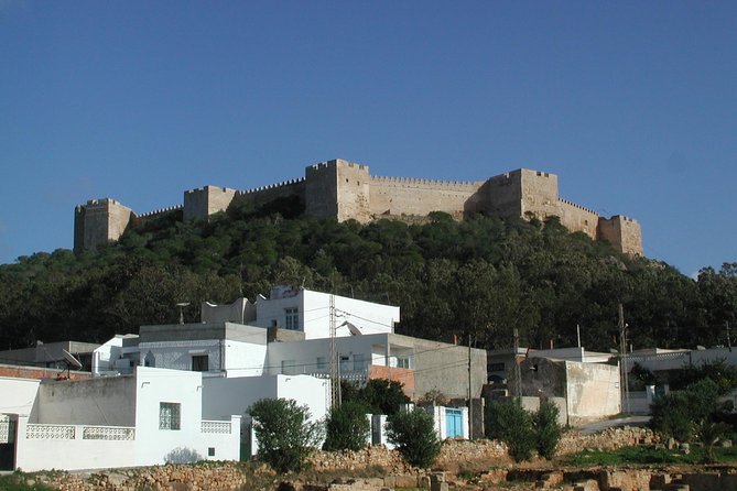 Cap Bon Guided Day Tour from Tunis - Key points to know before booking