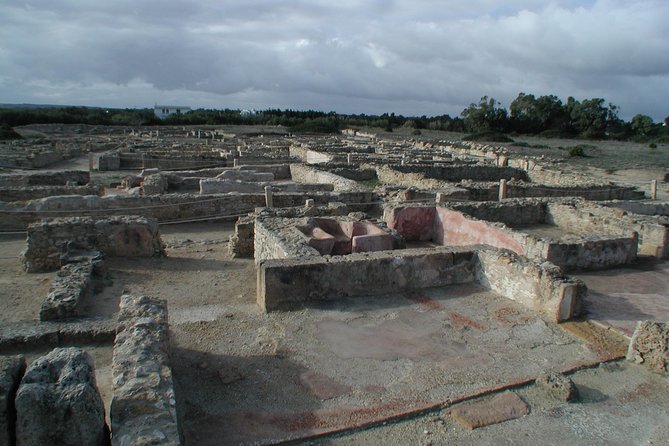 Cap Bon Guided Day Tour from Tunis - Why Cap Bon works as a full-day trip from Tunis