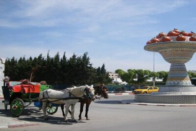 Cap Bon Guided Day Tour from Tunis