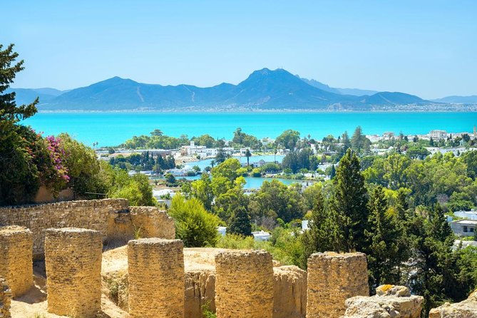 Carthage, Bardo Museum, Sidi Bou Said and Medina Private Day Tour - The day’s best features at a glance