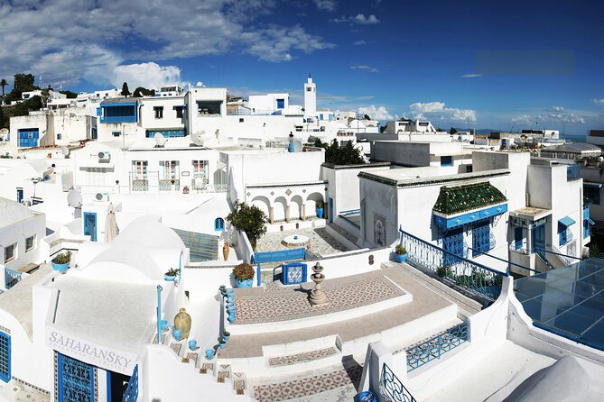 Carthage, Bardo Museum, Sidi Bou Said and Medina Private Day Tour - What the private car and guide add