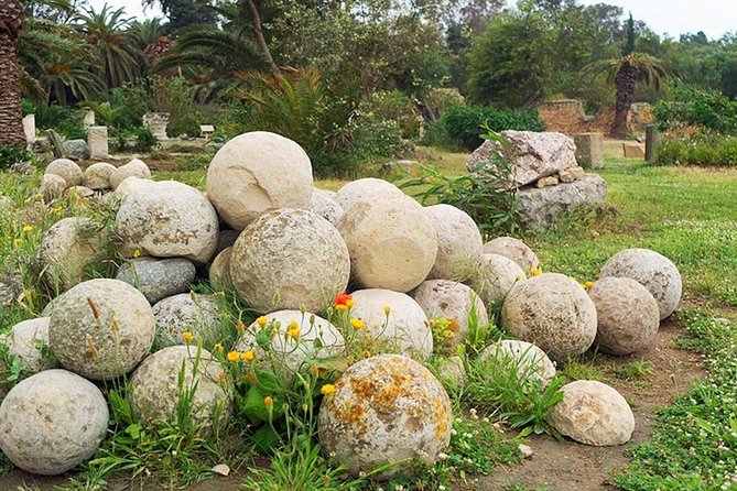Carthage Discovery Half-Day Tour with Licensed Guide - The Tophet and its difficult questions