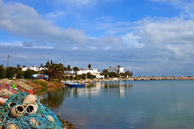 Carthage Discovery Half-Day Tour with Licensed Guide - Reading the Punic ports