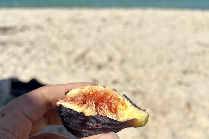 Cook and Connect: Tunisian Culinary Adventure with a Local Family - What the $75.60 price really includes