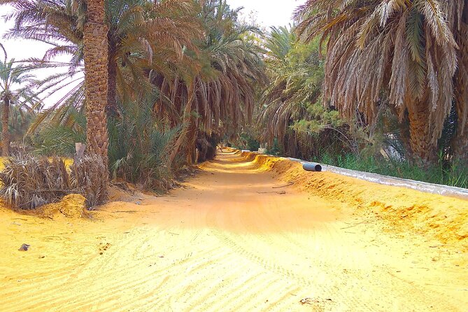 Day Trip in Ksar Ghilane with Lunch and Pickup - Key points to know before you book