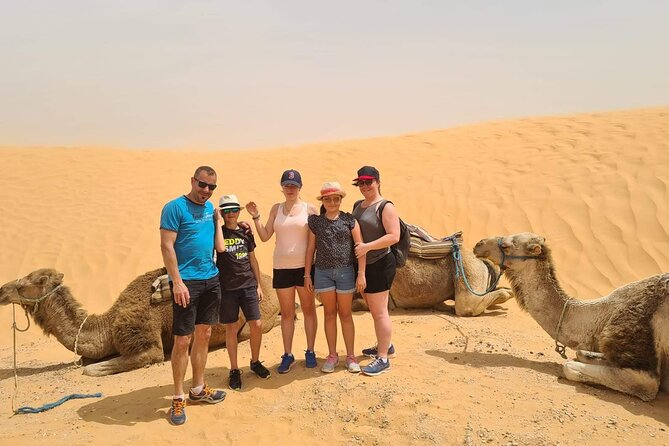 Day Trip in Ksar Ghilane with Lunch and Pickup - Ksar Ghilane oasis, palm shade, and hot spring water