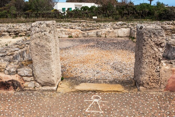 Day Trip to Cap Bon - Korbous: warm springs above the Mediterranean