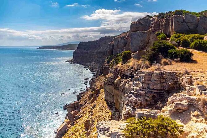 Day Trip to Cap Bon - Kerkouane: Punic remains beside the sea