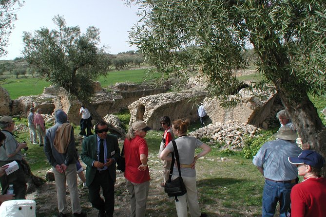DAY TRIP TO Dougga & Bulla Regia , DEPARTURE FROM Tunis - Who Will Enjoy This Tour Most?