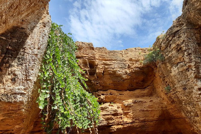 Daytrip to Kerkouen Unesco Site Kelibia and Houaria Caves - Key points at a glance