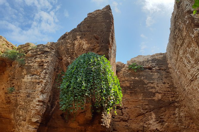 Daytrip to Kerkouen Unesco Site Kelibia and Houaria Caves - Who should book this experience?