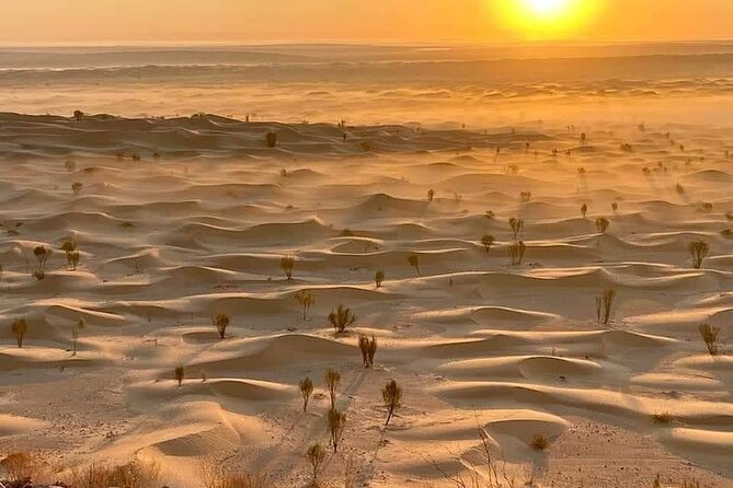 Desert tours and adventurous camel trekking through the Sahara - Day one: Douz, the Gate of the Desert