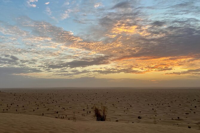Desert tours and adventurous camel trekking through the Sahara - Day eight: departure from Djerba